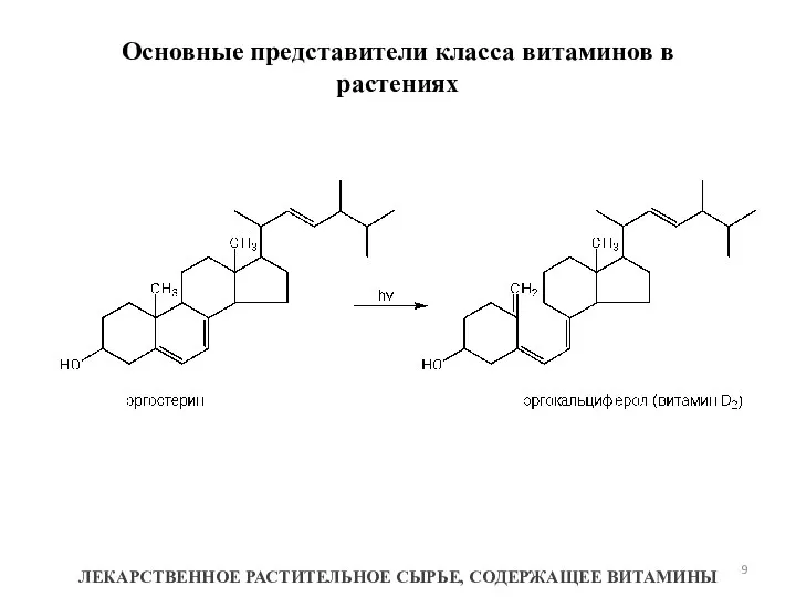 Основные представители класса витаминов в растениях ЛЕКАРСТВЕННОЕ РАСТИТЕЛЬНОЕ СЫРЬЕ, СОДЕРЖАЩЕЕ ВИТАМИНЫ