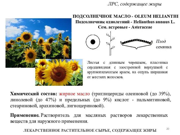 ЛЕКАРСТВЕННОЕ РАСТИТЕЛЬНОЕ СЫРЬЕ, СОДЕРЖАЩЕЕ ЖИРЫ ЛРС, содержащее жиры ПОДСОЛНЕЧНОЕ МАСЛО -