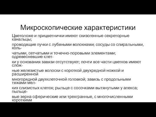 Микроскопические характеристики Цветоложе и прицветнички имеют схизогенные секреторные канальцы; проводящие пучки