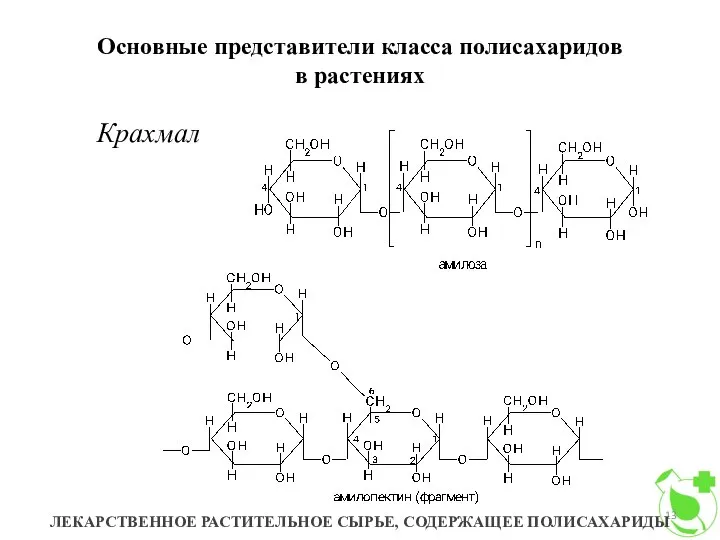 Основные представители класса полисахаридов в растениях ЛЕКАРСТВЕННОЕ РАСТИТЕЛЬНОЕ СЫРЬЕ, СОДЕРЖАЩЕЕ ПОЛИСАХАРИДЫ Крахмал