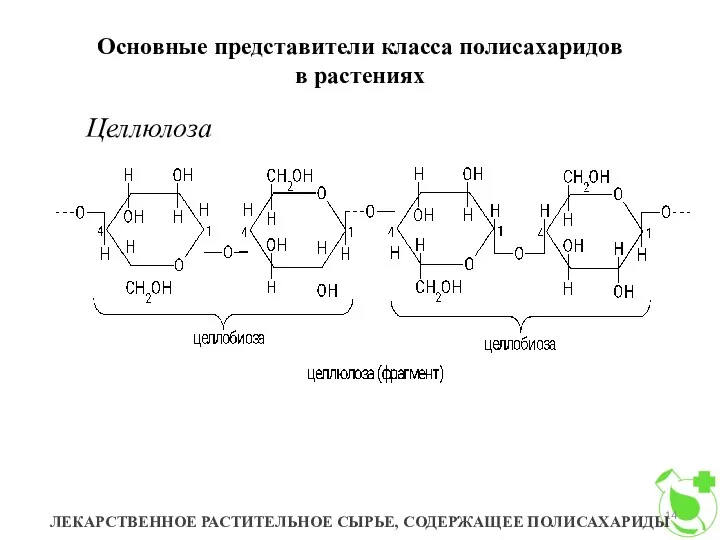 Основные представители класса полисахаридов в растениях ЛЕКАРСТВЕННОЕ РАСТИТЕЛЬНОЕ СЫРЬЕ, СОДЕРЖАЩЕЕ ПОЛИСАХАРИДЫ Целлюлоза