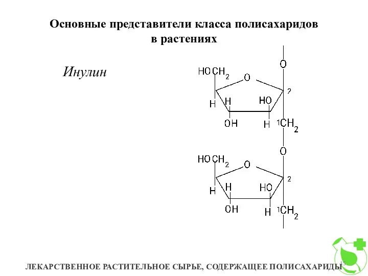 Основные представители класса полисахаридов в растениях ЛЕКАРСТВЕННОЕ РАСТИТЕЛЬНОЕ СЫРЬЕ, СОДЕРЖАЩЕЕ ПОЛИСАХАРИДЫ Инулин