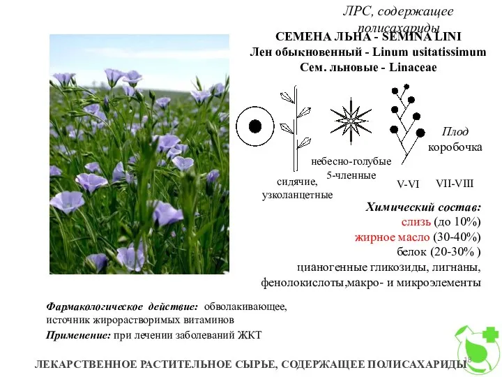 ЛРС, содержащее полисахариды ЛЕКАРСТВЕННОЕ РАСТИТЕЛЬНОЕ СЫРЬЕ, СОДЕРЖАЩЕЕ ПОЛИСАХАРИДЫ СЕМЕНА ЛЬНА -