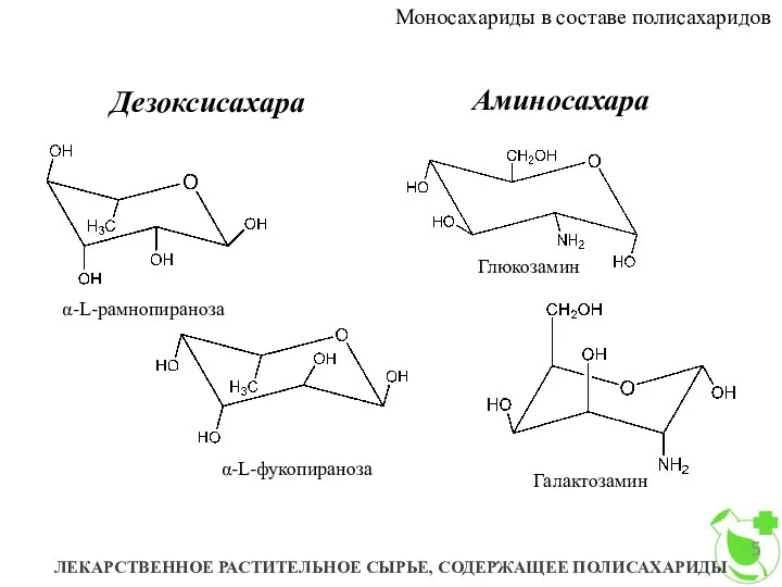 Моносахариды в составе полисахаридов ЛЕКАРСТВЕННОЕ РАСТИТЕЛЬНОЕ СЫРЬЕ, СОДЕРЖАЩЕЕ ПОЛИСАХАРИДЫ Дезоксисахара Аминосахара α-L-рамнопираноза α-L-фукопираноза Глюкозамин Галактозамин