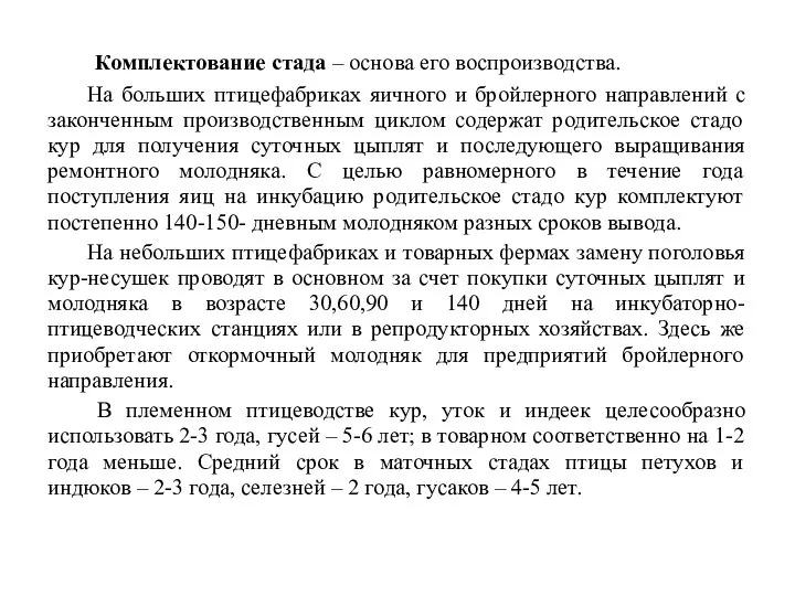 Комплектование стада – основа его воспроизводства. На больших птицефабриках яичного и