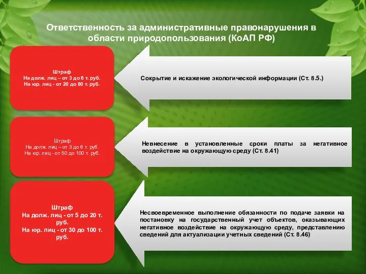 Ответственность за административные правонарушения в области природопользования (КоАП РФ)