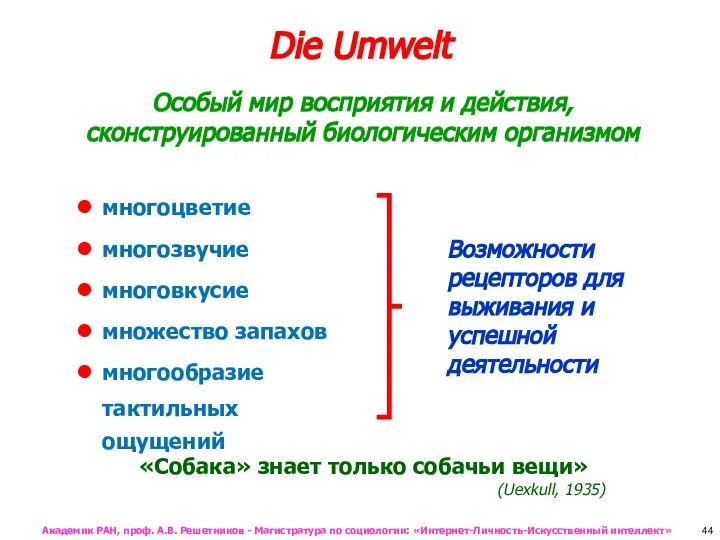 Die Umwelt Особый мир восприятия и действия, сконструированный биологическим организмом «Собака»