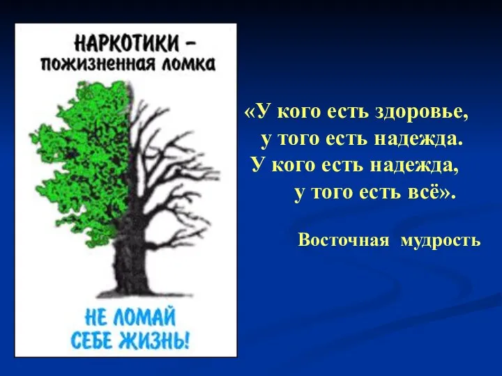 «У кого есть здоровье, у того есть надежда. У кого есть