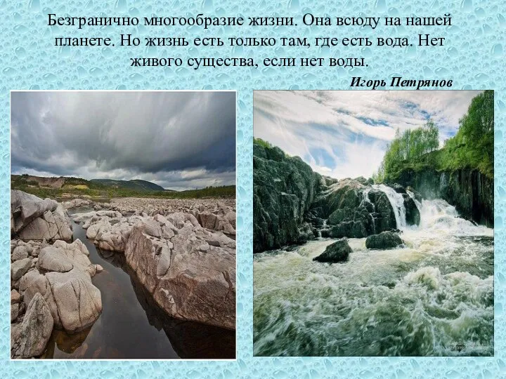 Безгранично многообразие жизни. Она всюду на нашей планете. Но жизнь есть