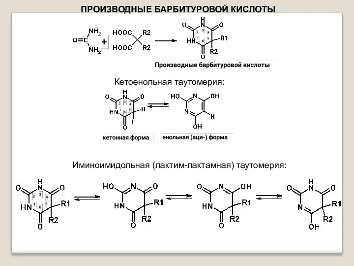 ПРОИЗВОДНЫЕ БАРБИТУРОВОЙ КИСЛОТЫ Кетоенольная таутомерия: Иминоимидольная (лактим-лактамная) таутомерия: