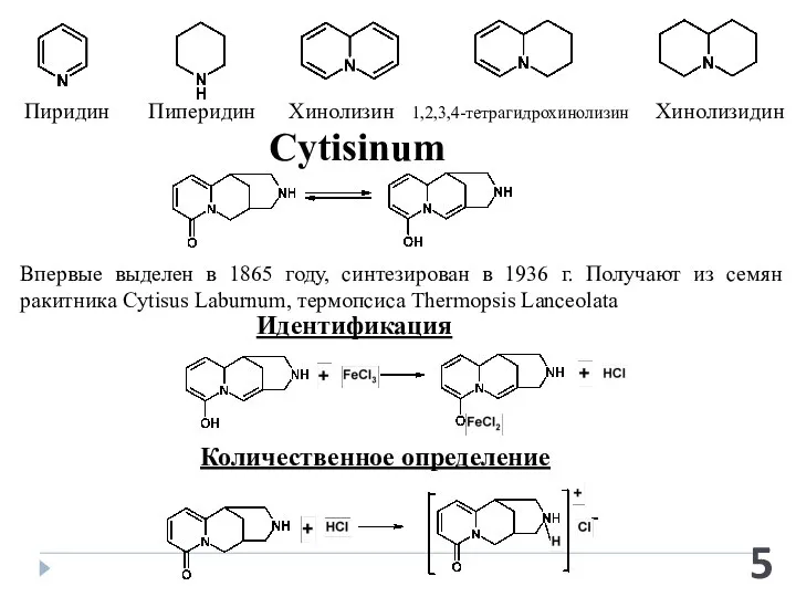 Пиридин Пиперидин Хинолизин 1,2,3,4-тетрагидрохинолизин Хинолизидин Cytisinum Впервые выделен в 1865 году,