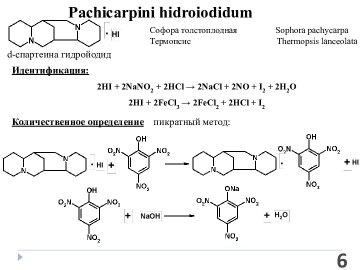 Pachicarpini hidroiodidum Софора толстоплодная Sophora pachycarpa Термопсис Thermopsis lanceolata Идентификация: Количественное