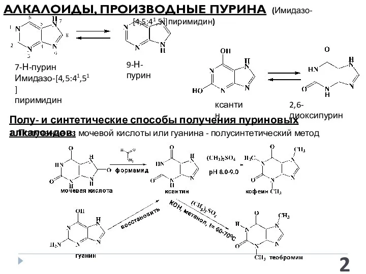 АЛКАЛОИДЫ, ПРОИЗВОДНЫЕ ПУРИНА (Имидазо- [4,5:41,51]пиримидин) 7-Н-пурин Имидазо-[4,5:41,51] пиримидин 9-Н-пурин ксантин 2,6-диоксипурин