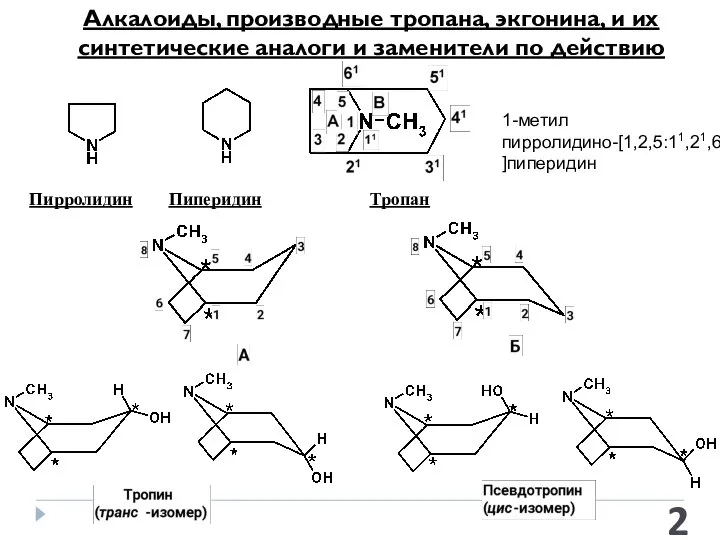 Алкалоиды, производные тропана, экгонина, и их синтетические аналоги и заменители по