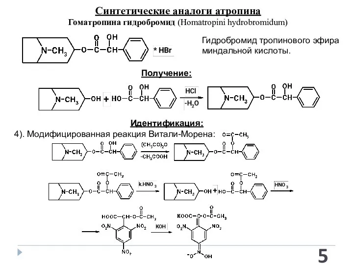 Синтетические аналоги атропина Гоматропина гидробромид (Homatropini hydrobromidum) Гидробромид тропинового эфира миндальной