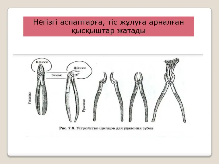 Негізгі аспаптарға, тіс жұлуға арналған қысқыштар жатады