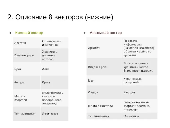 2. Описание 8 векторов (нижние) Кожный вектор Анальный вектор