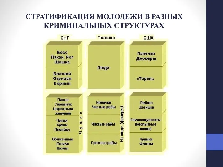 СТРАТИФИКАЦИЯ МОЛОДЕЖИ В РАЗНЫХ КРИМИНАЛЬНЫХ СТРУКТУРАХ