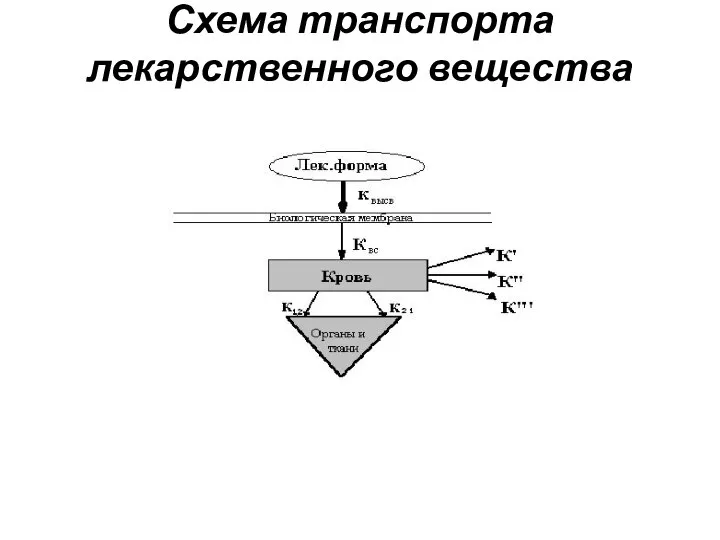 Схема транспорта лекарственного вещества