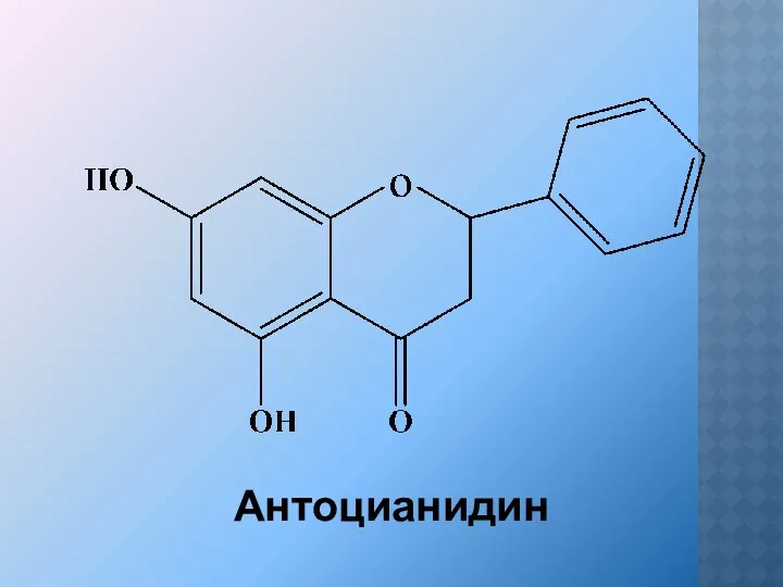 Антоцианидин