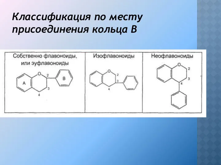 Классификация по месту присоединения кольца В