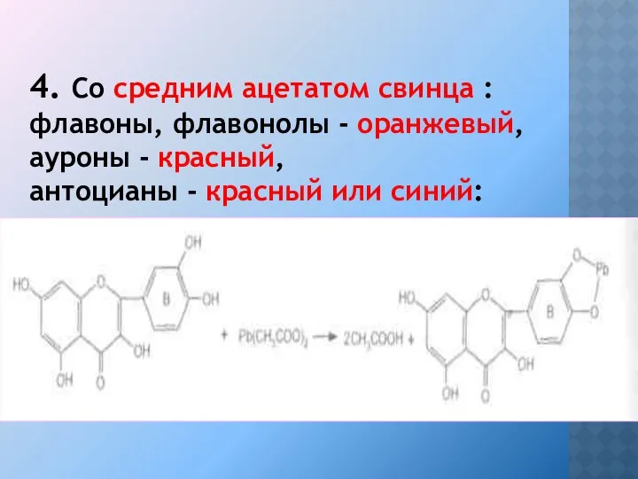 4. Со средним ацетатом свинца : флавоны, флавонолы - оранжевый, ауроны