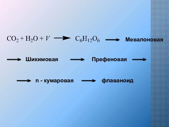 Мевалоновая Шикимовая Префеновая n - кумаровая флаваноид