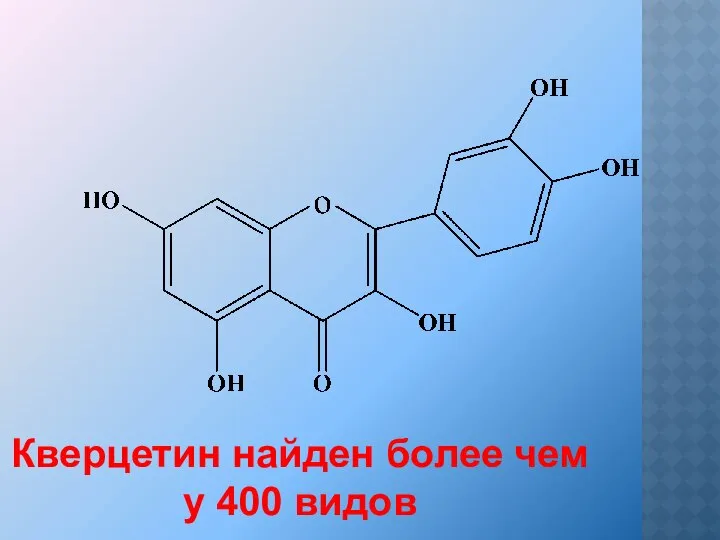 Кверцетин найден более чем у 400 видов