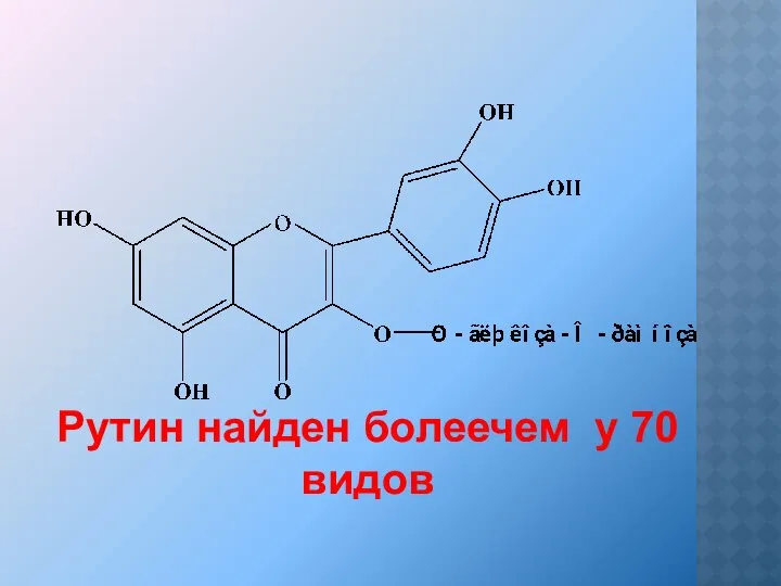 Рутин найден болеечем у 70 видов