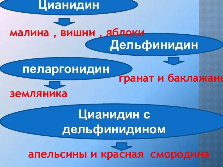 пеларгонидин Дельфинидин малина , вишни , яблоки гранат и баклажаны земляника