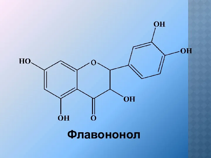 Флавононол