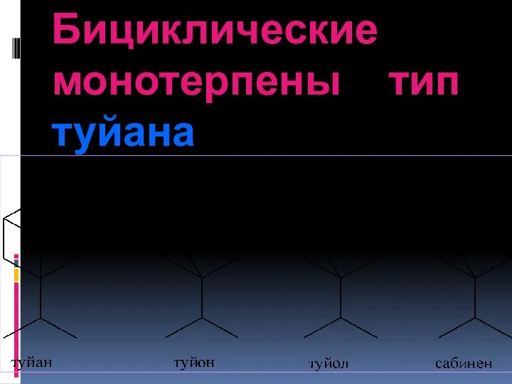 Бициклические монотерпены тип туйана