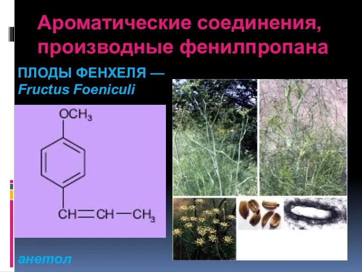 Ароматические соединения, производные фенилпропана ПЛОДЫ ФЕНХЕЛЯ — Fructus Foeniculi анетол