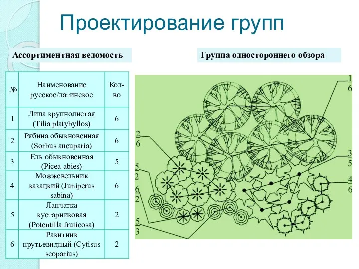 Проектирование групп Группа одностороннего обзора Ассортиментная ведомость