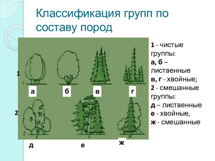 Классификация групп по составу пород 1 - чистые группы: а, б