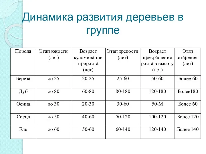 Динамика развития деревьев в группе