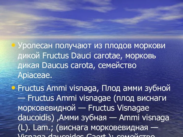 Уролесан получают из плодов моркови дикой Fructus Dauci carotae, морковь дикая