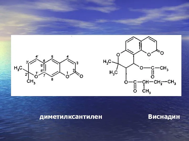 2,2- диметилксантилен Виснадин