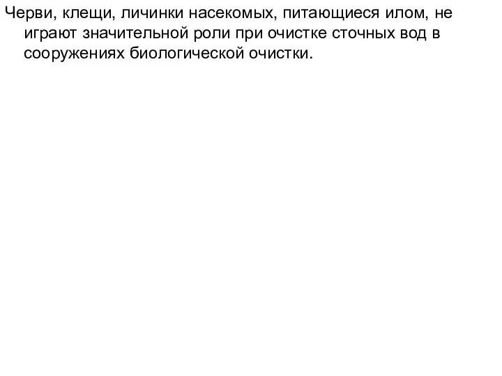 Черви, клещи, личинки насекомых, питающиеся илом, не играют значительной роли при