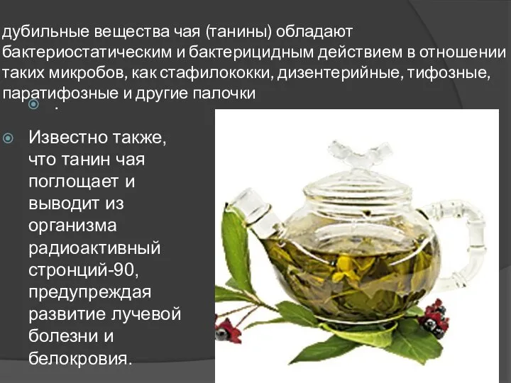 дубильные вещества чая (танины) обладают бактериостатическим и бактерицидным действием в отношении