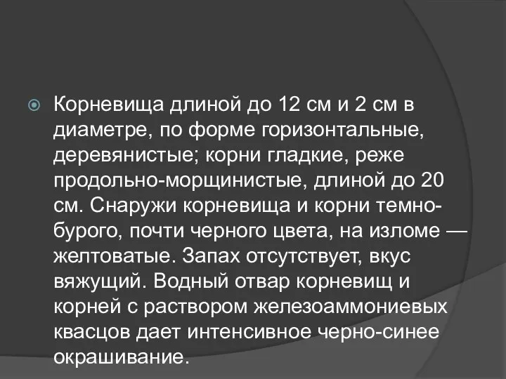 Корневища длиной до 12 см и 2 см в диаметре, по