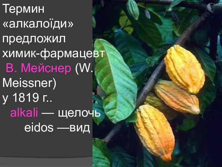 Термин «алкалоїди» предложил химик-фармацевт В. Мейснер (W. Meissner) у 1819 г.. alkali — щелочь eidos —вид