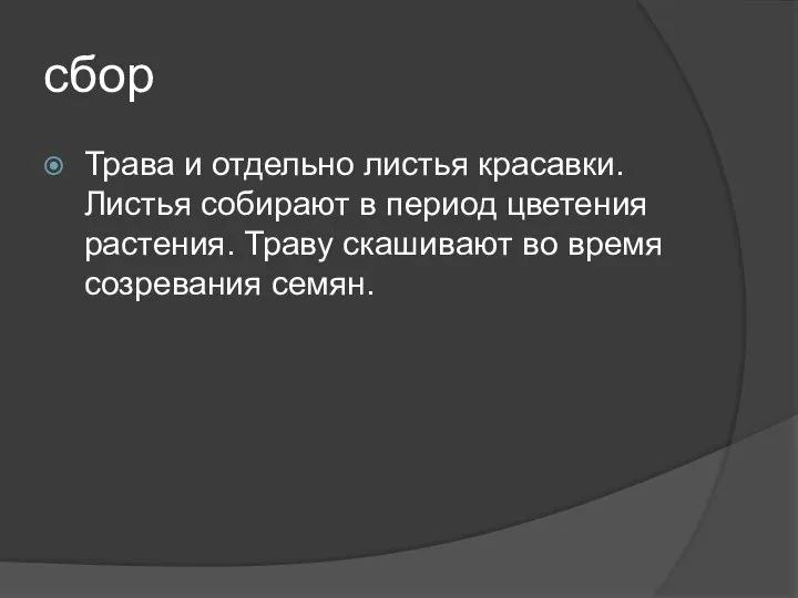 сбор Трава и отдельно листья красавки. Листья собирают в период цветения