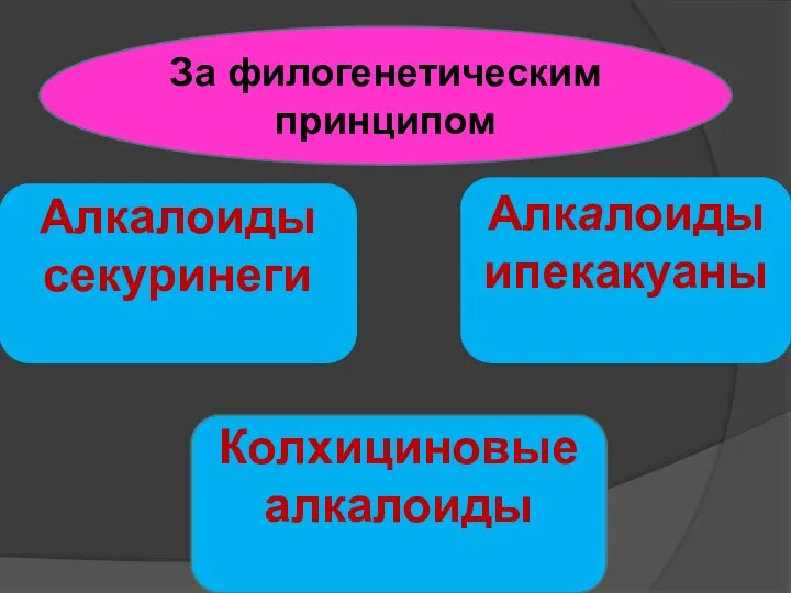 За филогенетическим принципом Алкалоиды секуринеги Алкалоиды ипекакуаны Колхициновые алкалоиды