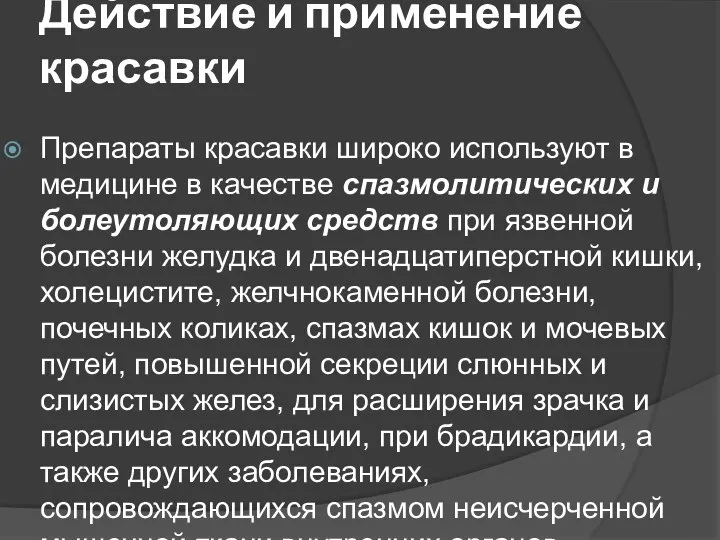 Действие и применение красавки Препараты красавки широко используют в медицине в