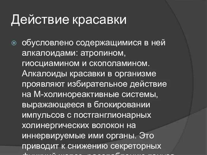 Действие красавки обусловлено содержащимися в ней алкалоидами: атропином, гиосциамином и скополамином.