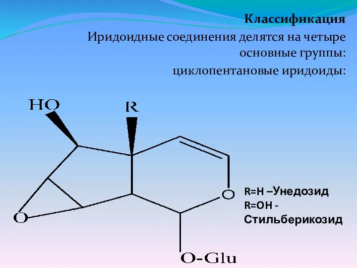 R=H –Унедозид R=OH - Стильберикозид Классификация Иридоидные соединения делятся на четыре основные группы: циклопентановые иридоиды: