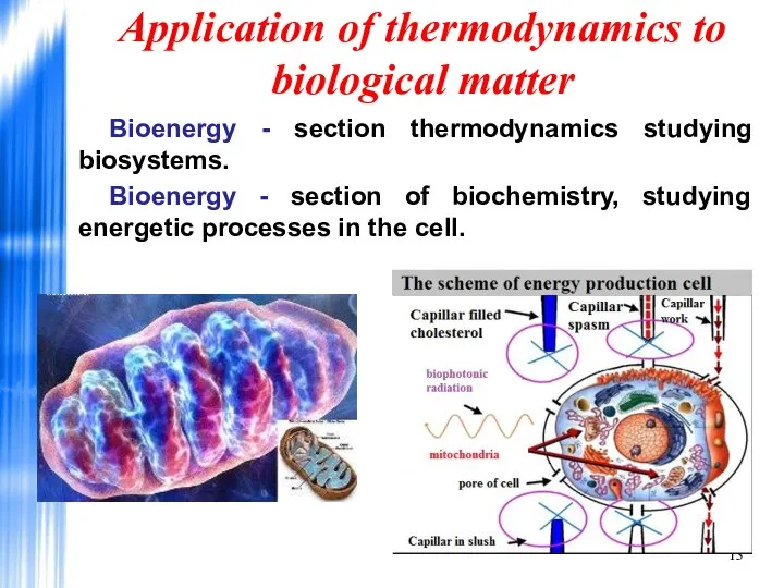 Application of thermodynamics to biological matter Bioenergy - section thermodynamics studying