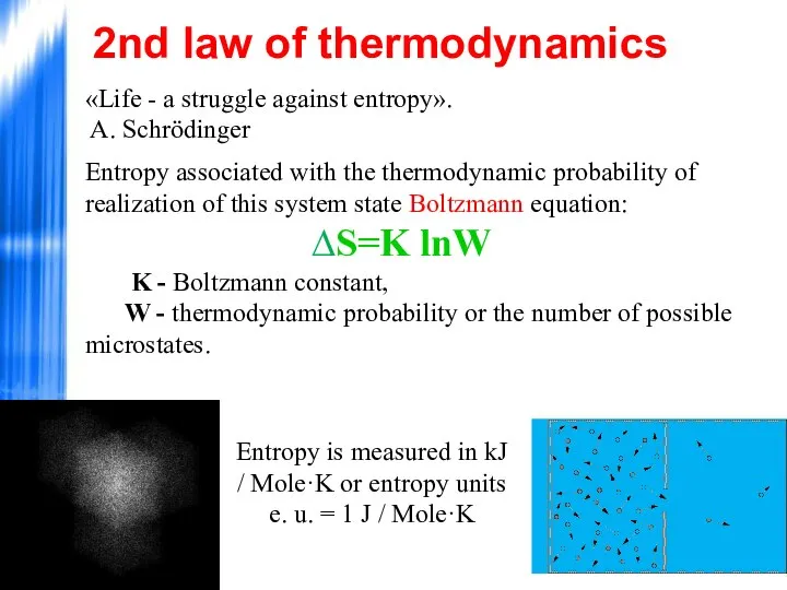 «Life - a struggle against entropy». A. Schrödinger Entropy associated with