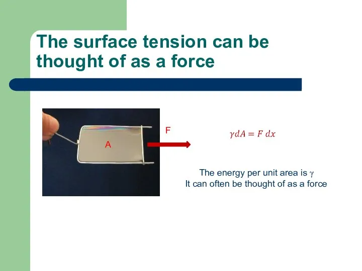 The surface tension can be thought of as a force F